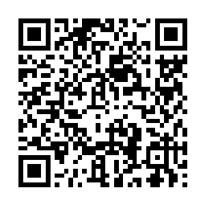 她白双双觉得自己连站在林烽面前的资格都没有了二维码生成