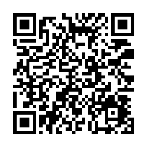 她的识海倒是因为和那条神识化龙争斗受到的震荡大了一些二维码生成