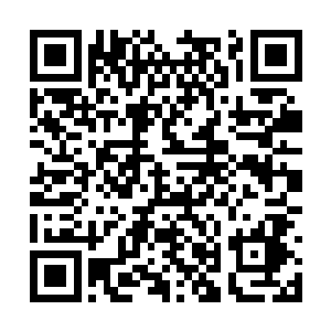 她的这一招……是同时瞄准了战斗的双方才发动的二维码生成