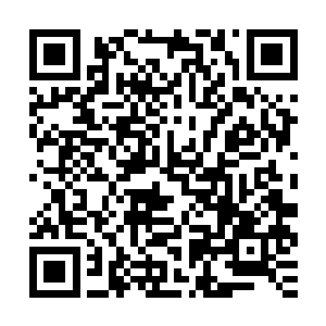 她看着那蜷缩在榻上的小小身影不由得浮现出了几丝明暖的笑意二维码生成