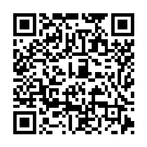 她还是第一次碰到有人不用机器人用智脑的情况二维码生成