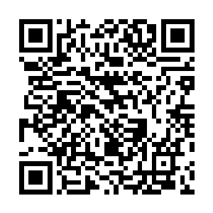 好像是带着游客一边开往目的地一边欣赏沿途的风景似的二维码生成