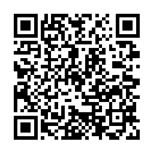 好莱坞的动作设计比不上人家香港来的好看而已二维码生成