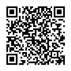 如今他想要把你们全部塞进地底岩浆里也不过就费点事而已二维码生成