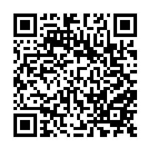 如今的天街大统领都要经过考核拿到合格的成绩才能上位二维码生成