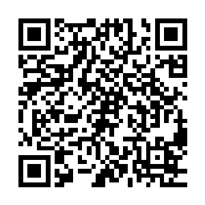 如果不是我们之前有你在棉兰老岛上获取的那笔巨大家族财富二维码生成