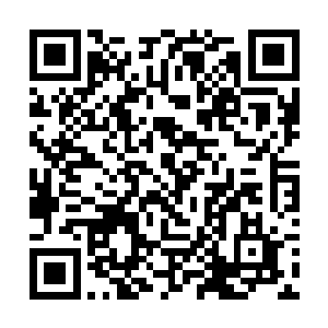 如果不是被自己有着当官梦的老爹从小拿着木棍逼着二维码生成