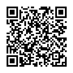 如果你不喜欢明哥你不会一听到他受伤就马上赶了过来二维码生成