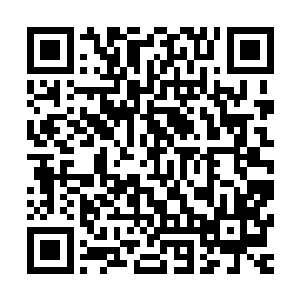 如果你在荒原上看到一条浑身乌漆吗黑的瘦狼从地平线上跑过二维码生成