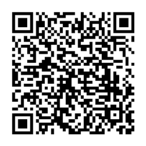 如果去年我们的国家队召入了荣光……那亚洲杯会打成什么样子呢二维码生成