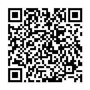 如果在十点之前不能证明张生对王老的治疗有了效果二维码生成