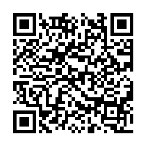 如果在周而复始的兴衰周期内寻找属于自己的路径二维码生成