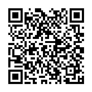 如果将眼前三人统统收为徒弟还真是个不赖的选择二维码生成