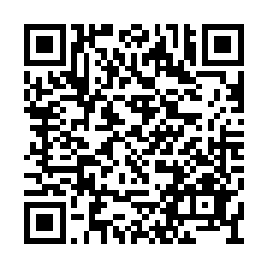 如果我们也举报说张总你的江南居使用了黑心肉二维码生成