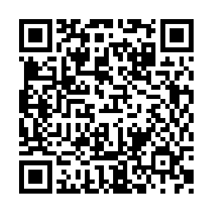 如果是这样的话……苏落心中开始暗暗计较起来二维码生成