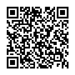 如果说当年夏武制造的混乱几乎倾覆了狗皇帝的王朝二维码生成