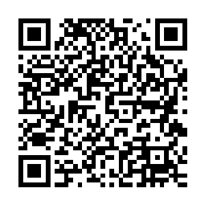 如果说整个人族还有什么职业与团队会感谢圣战和乱世的到来二维码生成