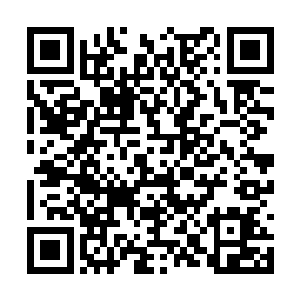 妖帝陛下如果我们提出的条件有什么不满意的地方二维码生成