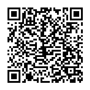 妖王挥手让宫殿内一蛇妖带我和澹台璃以及谢一鸣和王浩文下去休息二维码生成