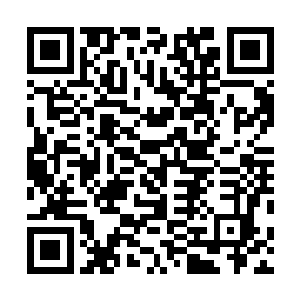 妾夫族长张诗仁两个月前和二弟三弟到妖兽森林寻找机缘二维码生成