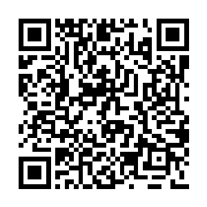 孔宁可以明显的感觉到自己身体内的血管在膨胀二维码生成