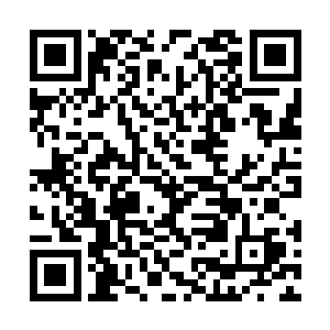 守在苏落门口的武者根本就不知道苏落已经离开了二维码生成