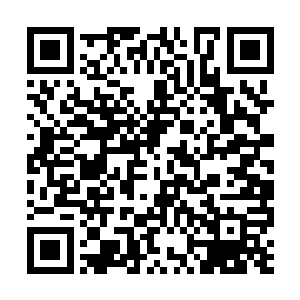 安庆农他们透过大玻璃看着安老浑身插满各种管子二维码生成