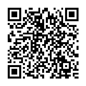 安掌门的这一系列的逗比操作成为了他职业生涯中最大的黑点二维码生成