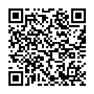 完全就是个硕大的野猪头……非要说他和牛有什么关系二维码生成