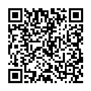 完全能够满足他混沌之体从十二层晋级到第十三层时的所需二维码生成