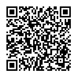 定国王爷驻扎之地这么容易让他们闯进来了他们居然一点都不曾怀疑二维码生成