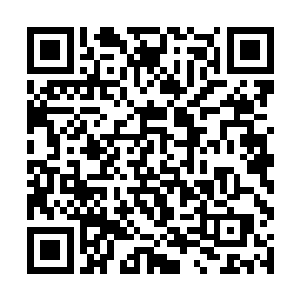 定定的望着被放到叶璃和安溪公主手里的两个小娃娃二维码生成