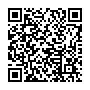 定然是相交满天下无论到哪都倍儿有面子的那种人二维码生成