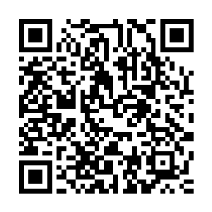 宛如长虹匹练一般几下就出现在了几名因祸得福的幸运儿面前二维码生成