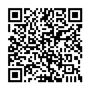 实则比那苏潇潇和林鹊的联合攻击还要强上几筹二维码生成