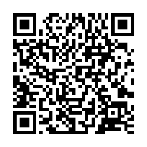 实在是他一个人完全无法抗衡那些人背后哪怕一个很小的势力二维码生成