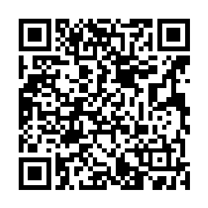 实际上原战已经在帐篷地下弄好了一个简易版的地下行宫二维码生成