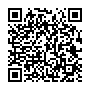 实际上她们下午最开始看到邓铮要演张丹枫的消息时二维码生成