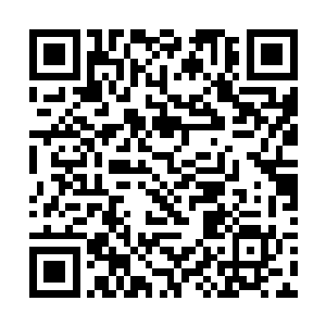 实际上如果不是岳少华三番五次的跟他通了几次电话二维码生成