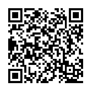 对于兽族的声音和认知杨晨已经跨越到额一个新的领域二维码生成