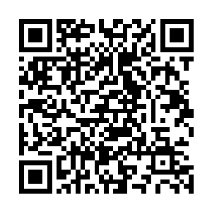 对于敢打自己女人主意的杨戬绝对是不会有丝毫的心慈手软二维码生成