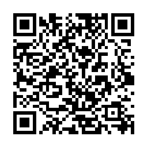 对于沪上的政界商界生态只怕都有了他自己的认识二维码生成