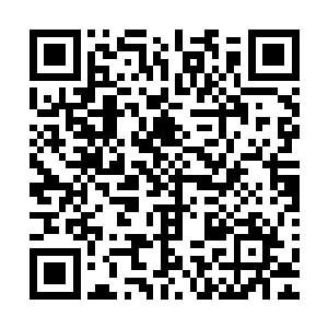 对另一件漂浮在殿内的宝物竟是看也没看一眼便直接消失不见二维码生成