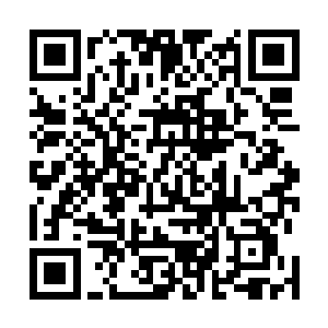 对方总要知道定国王府的戒备到底有多严才会真正动手吧二维码生成