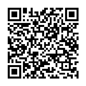 对每一个不满意的评价都过分敏感――而对我来说二维码生成