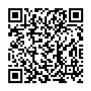 寻找匹配的精神力绑定者比寻找人生的另一半更重要二维码生成