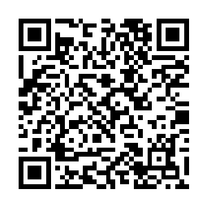 导致了包括大脑在内的多处身体器官渗透性出血不止二维码生成