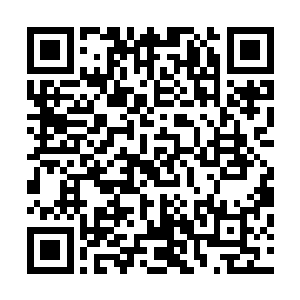 将中央巡视组从南海离开后的打击贪腐战役划上了一个句号二维码生成