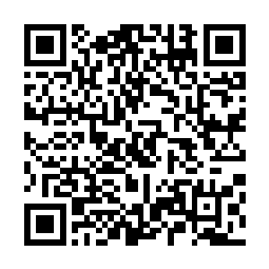 将目光移动到了卧室另一边正在聚精会神的看电视的奥利奥二维码生成