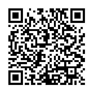 将禁古之界的至尊门门人统统都带到了天阳神界至尊门二维码生成